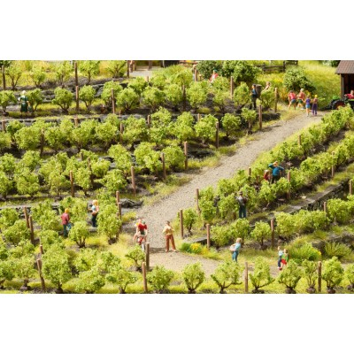 Noch 21540, Weinreben 24 Stück