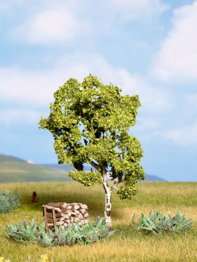 Noch 21640, Birke, 11,5 cm hoch