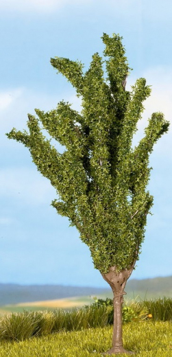 Noch 25952, Laub- und Nadelbäume, 8 - 12 cm hoch