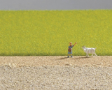 Noch 07082 Feldgras, hellgrün, 5 mm lang, 30 g Noch 07082 Feldgras, hellgrün, 5 mm lang, 30 g