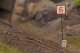 LaserCraft 94-351 ÖBB Geschwindigkeitstafeln Spur Z 16 Stück