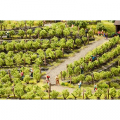 Noch 21540, Weinreben 24 Stück