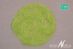 Mininatur 006-31, Grass-Flock: grass, flock 6.5 mm,spring