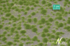 Mininatur 717-21S, Tuft of grass short spring, 1 piece, 15x8cm