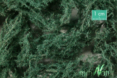 Mininatur 996-22S, Bodendecker immergrün dunkel