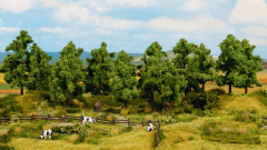 Noch 24603, Deciduous Trees 16 pieces, 4 cm - 10 cm high